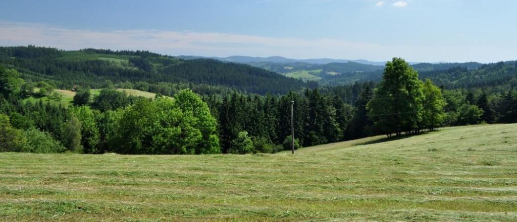 VSETÍNSKO