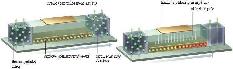 Často užívaným polovodičem je GaAs, kterému lze přidat magnetické vlastnosti pomocí dopování vhodnými magnetickými ionty.