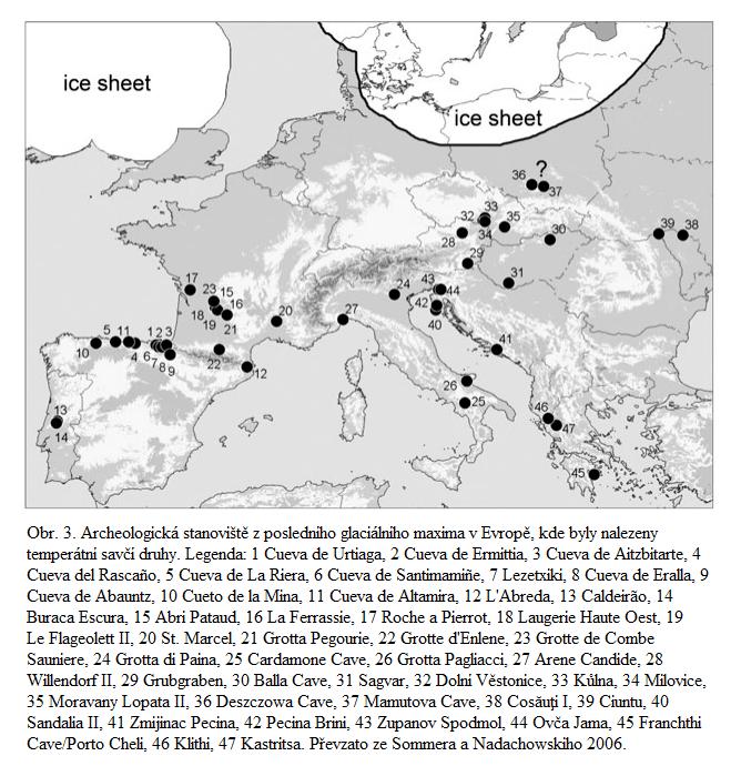 3.1. Terminologie Terminologie glaciálních refugií ve vysokých zeměpisných šířkách není dosud ujasněna, mimo pojmu kryptická refugia se můžeme poměrně často setkat s dalšími pojmy, jako například