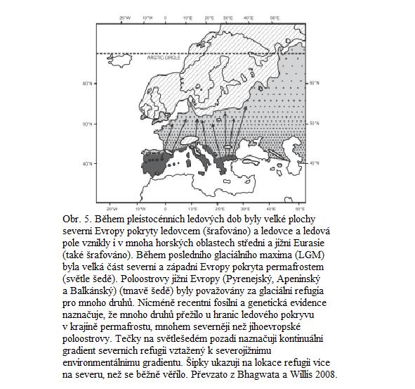 jižních makrorefugií až na sever do oblastí kryptických refugií (obr. 5, Bhagwat & Willis 2008), (Bhagwat & Willis 2008, Ruiz-González et al. 2013, Pilot et al. 2010, Valdiosera et al., 2007).