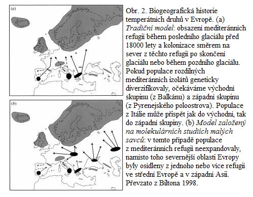 Původně se však termín refugium používal jen pro teplomilné druhy žijící ve středních a vyšších zeměpisných šířkách, které v refugiích přečkávaly glaciály (Bennett & Provan 2008).