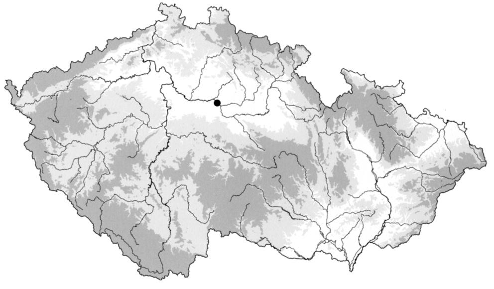 254, 255, 256 na parcele 81/1 (dříve 81/36 81/39) a na dalších parcelách v jižním a jihozápadním sousedství, laténskou sídlištní komponentu v podobě porušených částí tří sídlištních objektů (obr.