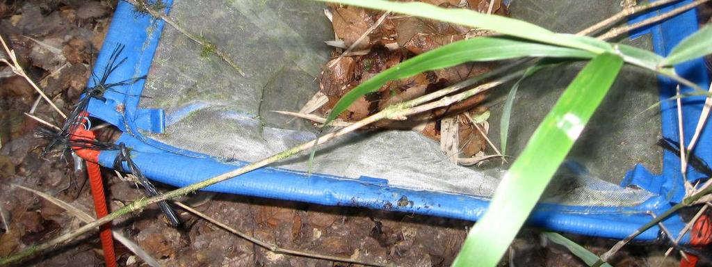 30 40 50 60 70 C in soil organic matter (t ha