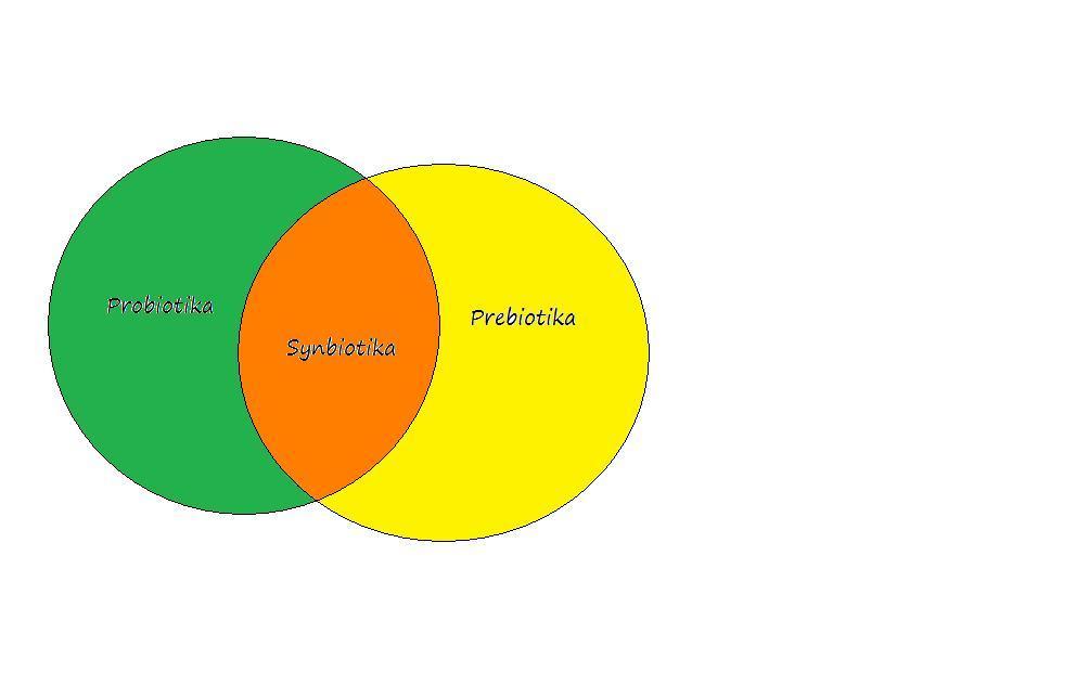 5. Synbiotika Definice Synbiotikum je potravina, která obsahuje současně probiotickou a prebiotickou přísadu (viz obrázek 7).