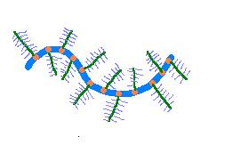 Komplexy proteoglykanů Kys. hyaluronová Spojovací protein sový protein eteroglykany Délka vlákna kys.