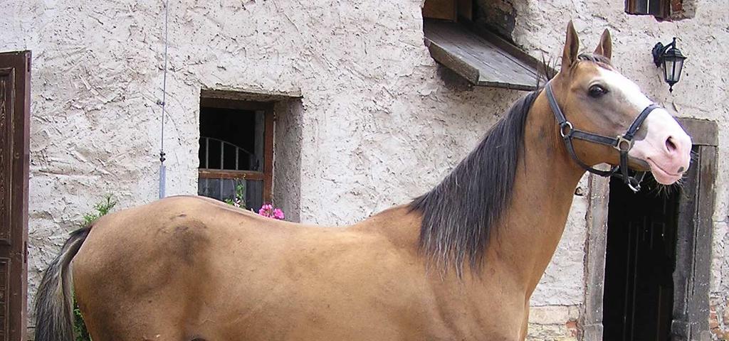 Obr. č.