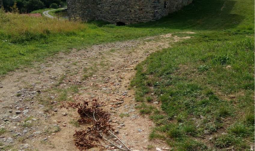 Obrázek 10 - Cesta k hradu Borotín Pohyb po památce Pohyb po památce hodnotím pozitivně, jedná se převážně o travnatou plochu, místy kamenitou, která ovšem nevytváří žádné nežádoucí nerovnosti.