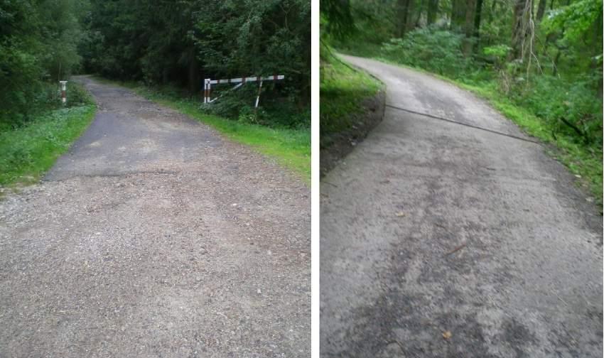 Obrázek 25 - Cesta na kopec ke zřícenině hradu Choustník Pohyb po památce V areálu hradu je nutné ze začátku opět stoupat do kopce.