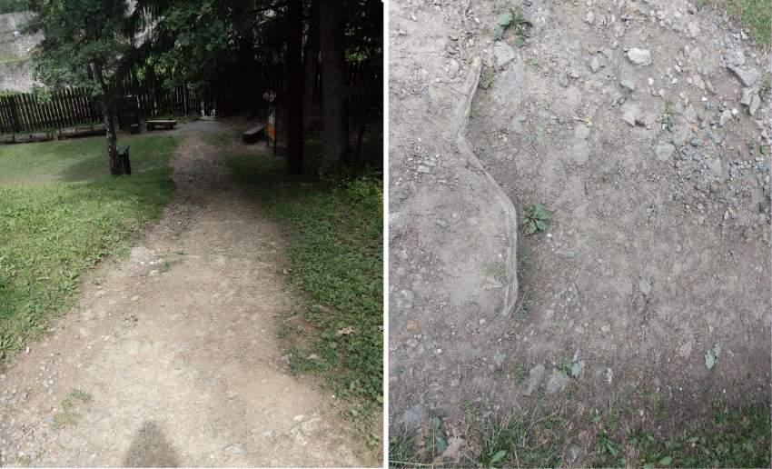 Obrázek 41 - Cesta k památce a detail cesty Cesta po památce Problém nastává již pří vchodu do areálu zříceniny.