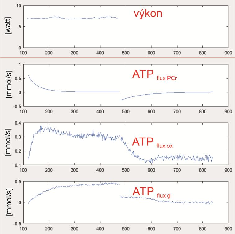 t [s] t [s] t [s] Obr. č. 23. Ukázka GUI okna z programu SEIP1 s vygenerovaným grafem okamžitého výkonu a grafy ATP flux PCr, ATP flux ox a ATP flux gl vypočteného ze zákonu zachování ATP.