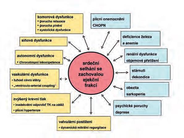 J. Hradec: Chronické srdeční