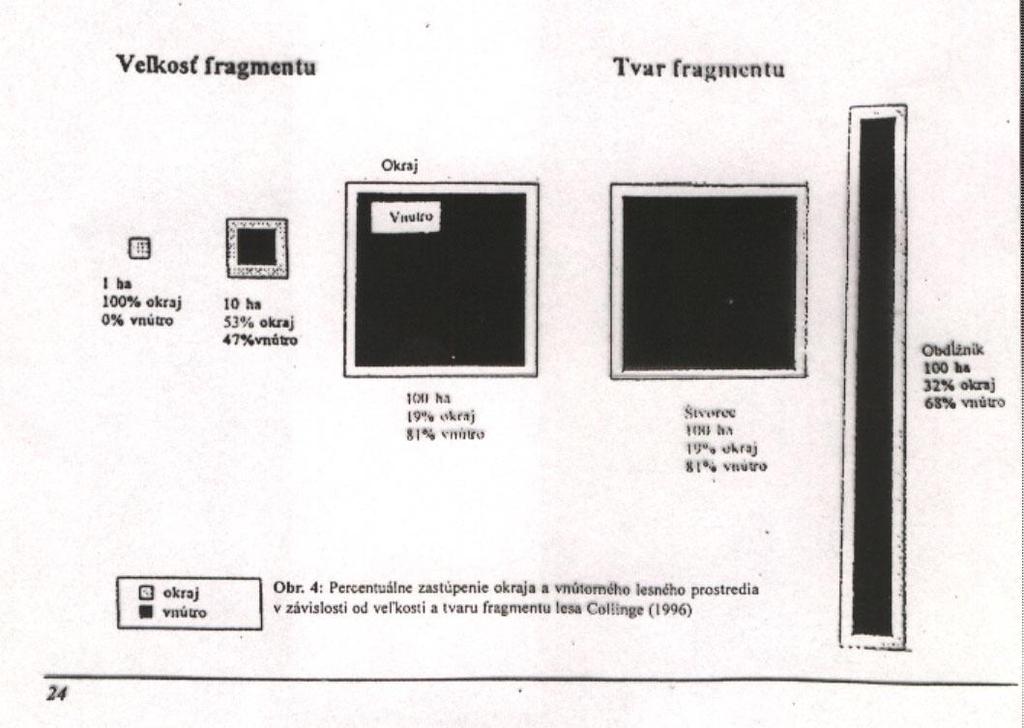 Ţivotaschopnost a fragmentace populací Dnešní rozložení pevnin, klima vedou k tomu, že biodiverzita dosahuje vrcholu.