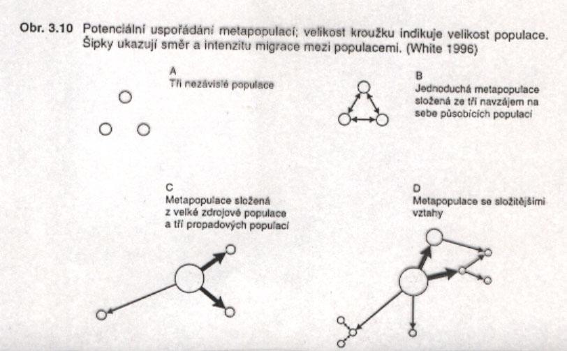 Metapopulace Jen málo druhů se skládá z jediné zranitelné populace (pak pravidlo 50-500 neplatí), neboť je-li zničena jediná populace, která čítá třeba 2000 jedinců (požárem, zničením lokality