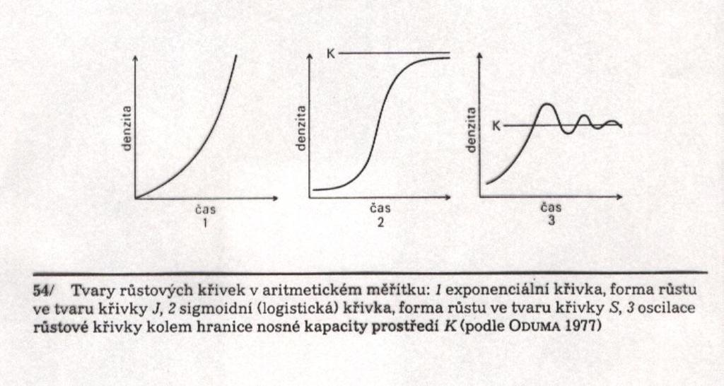 Růst populace = šíření, změny velikosti a struktury populace v čase = populační dynamika Modely růstu populace vycházejí ze změn počtu jedinců: 1) Při neomezených možnostech růstu bez limitujících