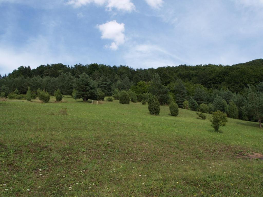 Šíření