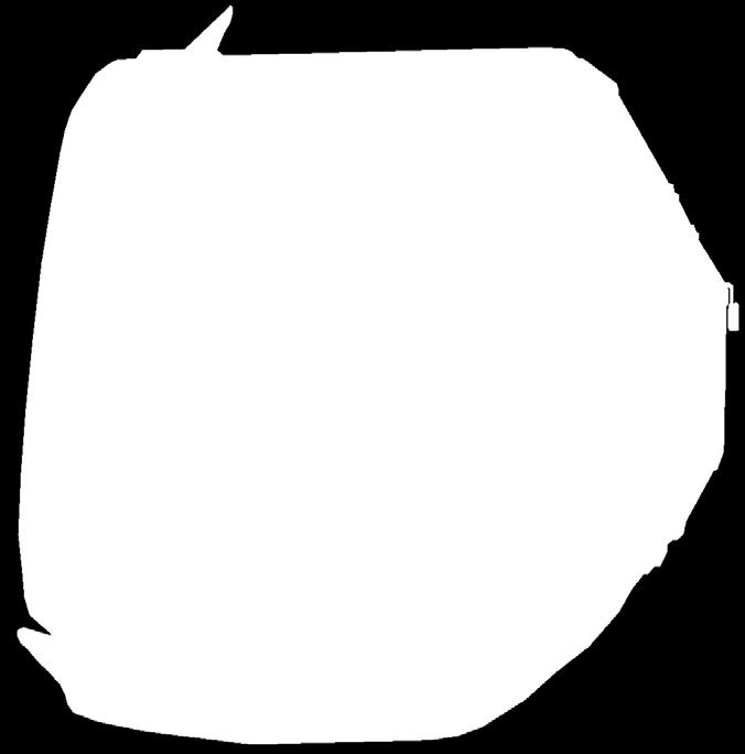 Řezníček