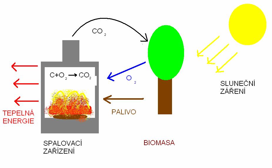 .1 Oxid uhličitý a spalování dřeva Z hlediska emisí oxidu uhličitého patří dřevo (i veškerá biomasa) mezi paliva s nulovou bilancí.