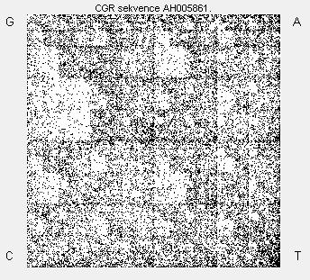 m] Obrázek 10: CGR celé sekvence Homo sapiens tight junction protein ZO-2 (TJP2) gene s délkou, nebo také s počtem černých bodů 26 841.