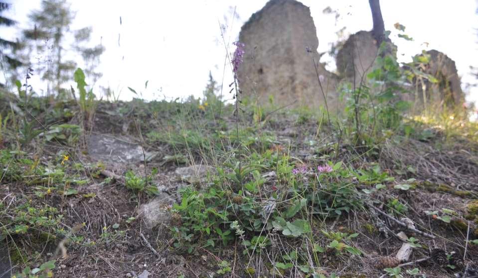 Stanoviště