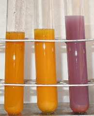 A B C Obrázek 27: A Fehlingův test: oslazená voda, med, rozinky, hroznové víno, jablko, mandarinka, citron, banán, cibule, mléko (červený oxid měďný se usazuje na dně), B syrovátka vzniklá