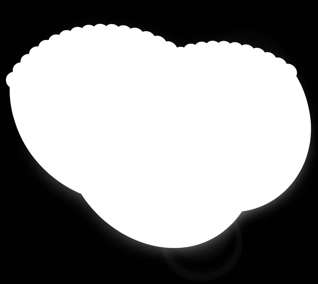 60kusů.