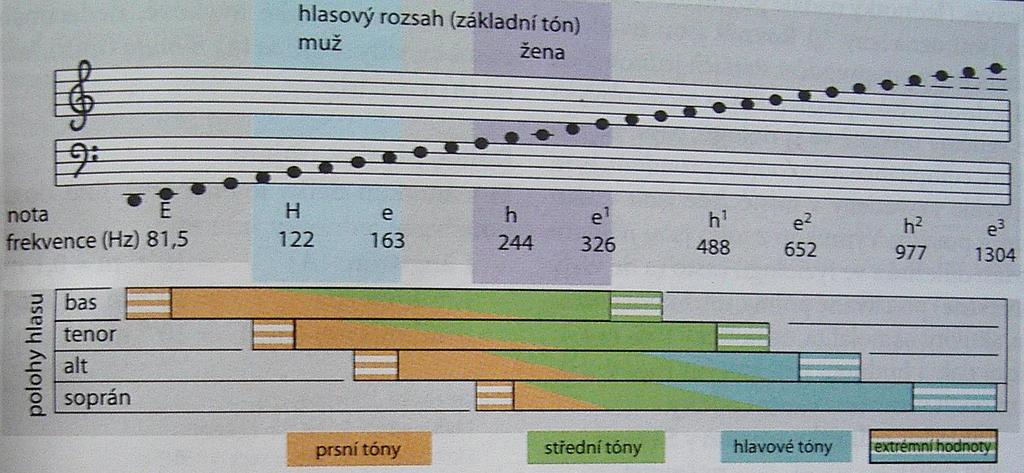 Základní