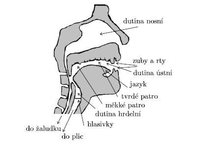 Hlas a řeč modfkace pozce a tvaru řečových orgánů