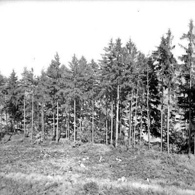 3. Obr. 13: 1 Fotografie Kněží hory od A. Beneše z roku 1969; 2 Fotografie vnitřního předhradí od A.