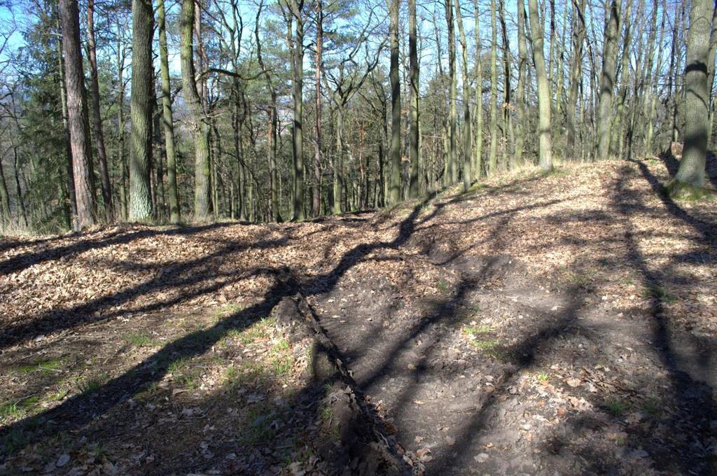 východní straně; 2 Přerušení