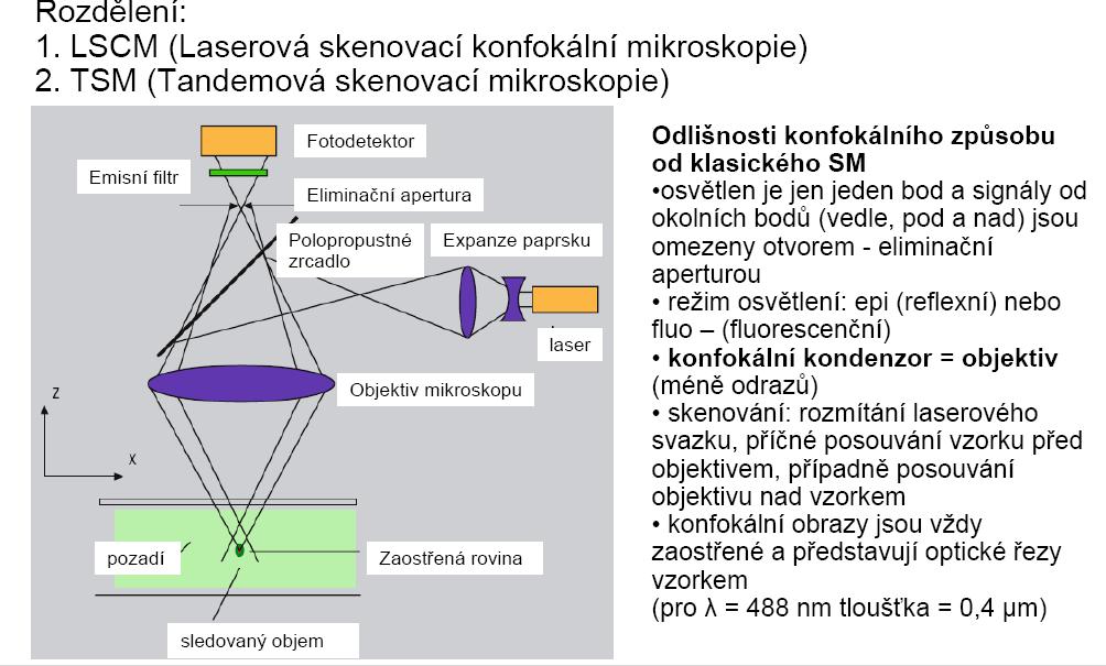 Konfokální