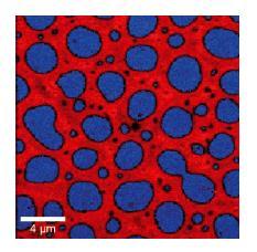 Sken 20x20 µm, topografické měřítko 30 nm Ramanovské zobrazení směsi