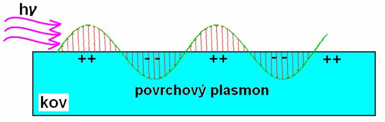 Mechanismus povrchové plasmonové resonance (Surface Plasmon Resonance) Dopadající světlo λ (hν) excituje oscilace oblaku elektronů vodivostního pásu s následným zesílením