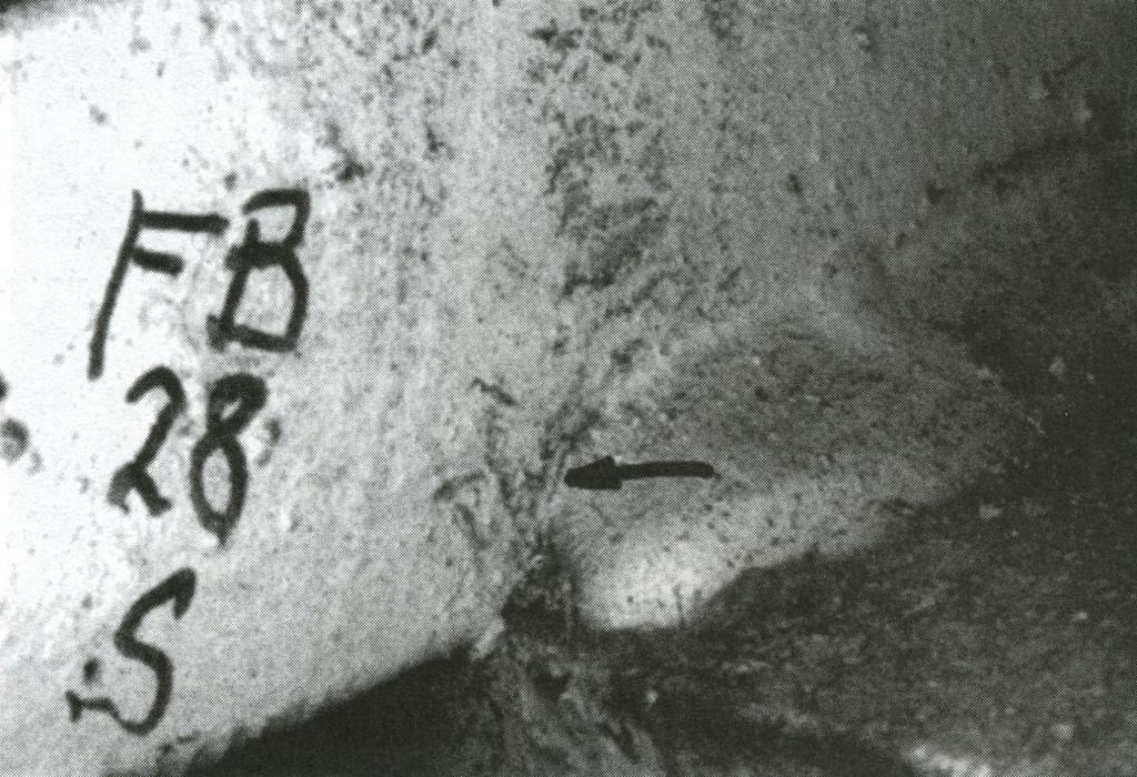 Šíření únvové rhliny z okrje Únvová rhlin ve svru připojovného příčníku Fisher l, A Figue Primer for