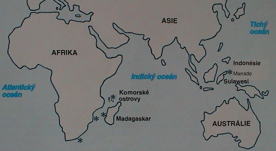 Latimeria -rozšíření Sarcopterygii Actinistia Choanata Komorské