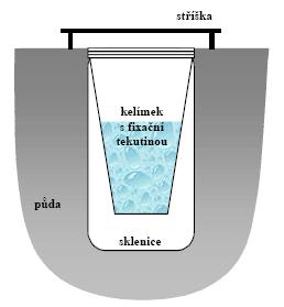 3. Metodika 3. Metodika ýzkum spole enstev stejnonožc probíhal od b ezna 1998 do b ezna 2006.