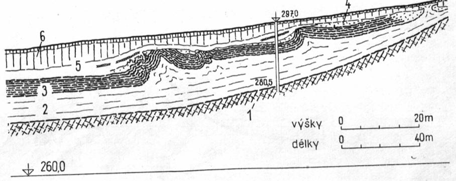 Obr. 26 Vrásové deformace způsobené shrnováním nezpevněných sedimentů; profil hnědouhelnou slojí u Milžan na Kadaňsku (podle J.