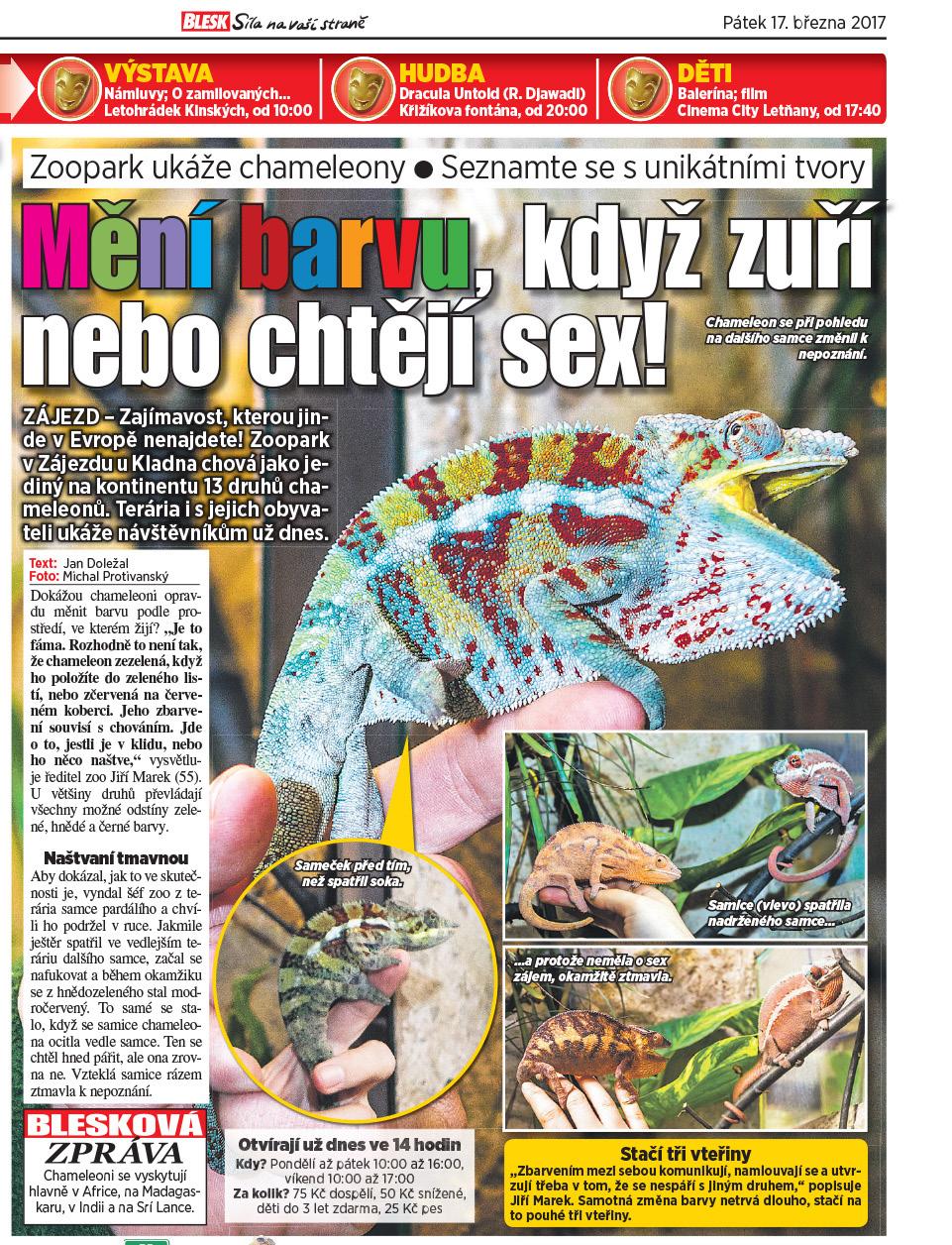partnerem