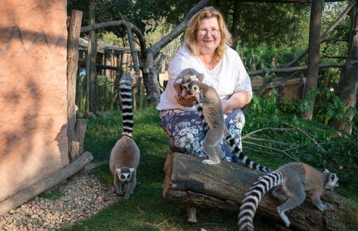 info@zoopark-zajezd.cz Ředitel Jiří Marek Správní rada RNDr. Dana Fraňková CSc.