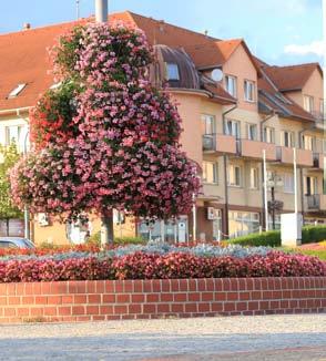 12 TerraCottem TerraCottem 13 OKENNÍ TRUHLÍKY, ZÁVĚSNÉ KVĚTINÁČE A KONTEJNERY ZEMĚDĚLSTVÍ KVĚTINOVÉ ZÁHONY A SKUPINY KEŘŮ STŘEŠNÍ ZAHRADY Otrokovice, Česká republika OPTIMALIZACE pěstování a údržby
