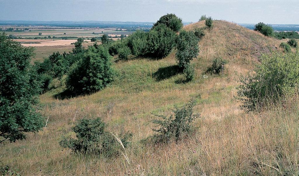 Stfiední âechy GEOLOGIE Podkladem jsou tfietihorní ãediãové horniny (augitit) s kfiídov mi sedimenty (svrchní cenoman) a starohorními vyvfielinami (bazalty spili- Pohled na jeden z fiady ãediãov ch