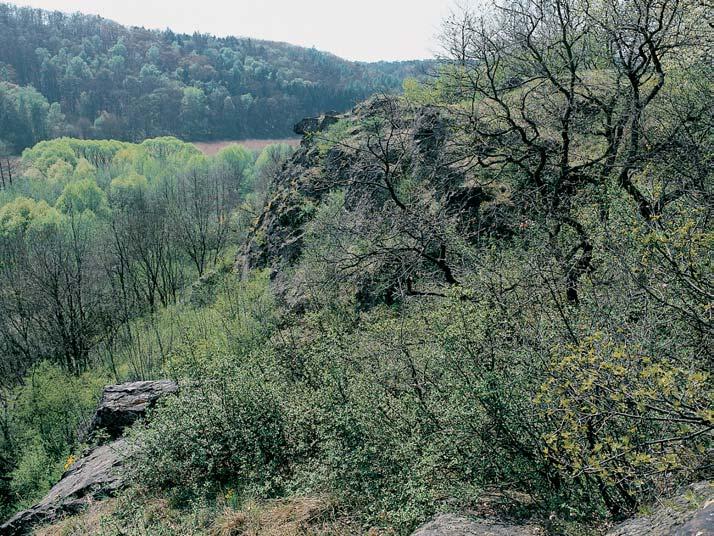 Stfiední âechy GEOLOGIE Horninov m podkladem jsou prekambrické (neoproterozoické) bazalty, tzv. spility.