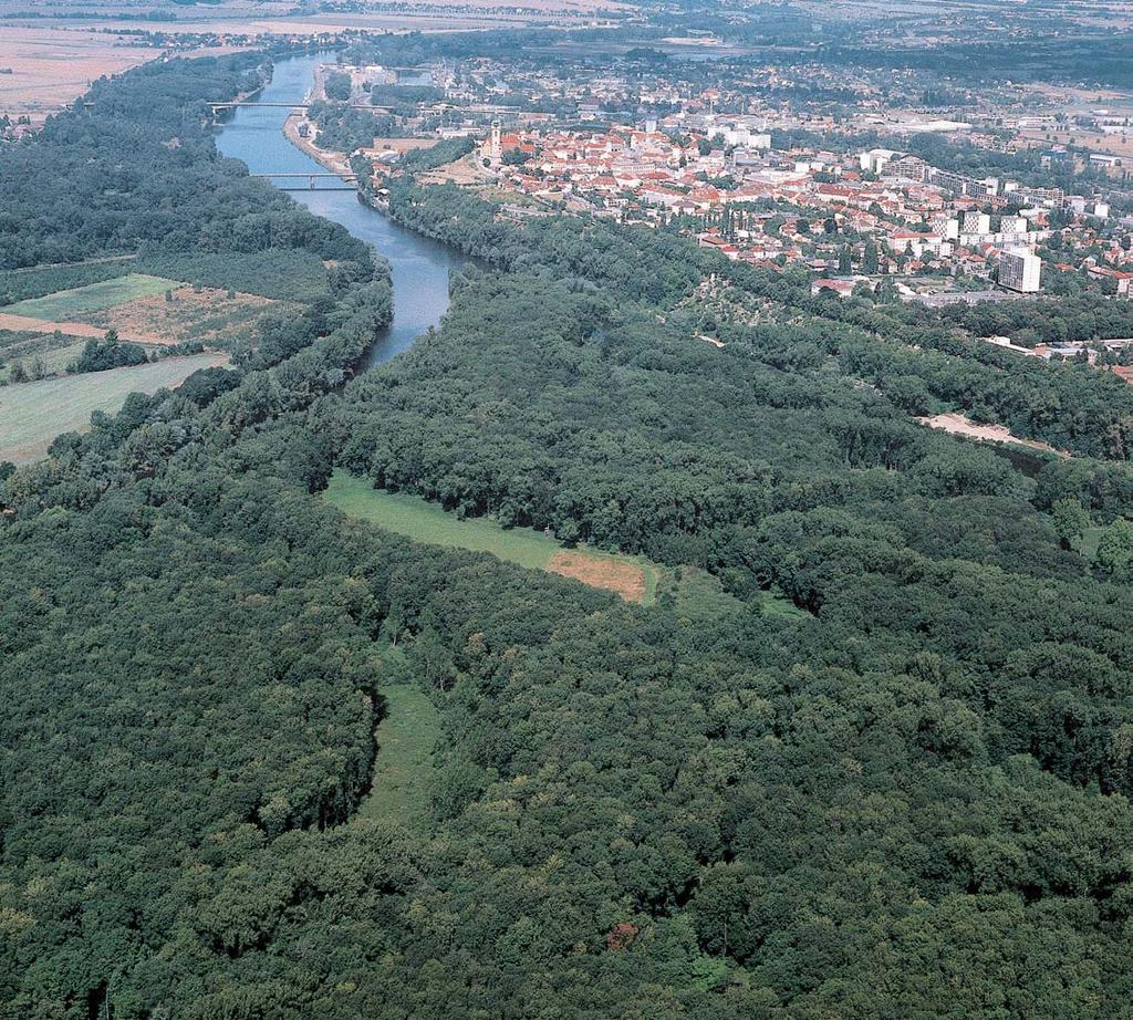 Stfiední âechy GEOLOGIE Horninové podloïí území tvofií kfiídové (stfiední turon) vápnité slínovce, které jsou pfiekryty ãtvrtohorními usazeninami, pfiedev ím fiíãními (terasov mi) tûrkopísky a písky.