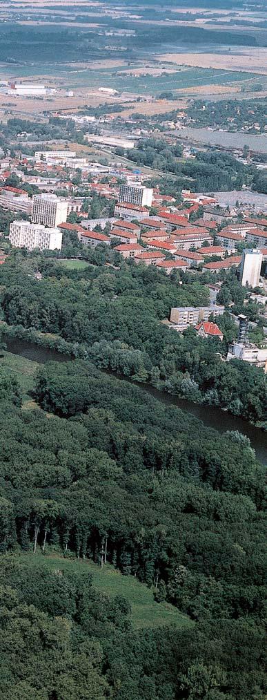 Okres Mûlník 4 k m pro porosty bylinn ch nitrofilních lemû níïinn ch fiek je starãek pofiíãní (Senecio fluviatilis). Lokalita je v znaãná hlavnû z pohledu dfievních hub luïních lesû.