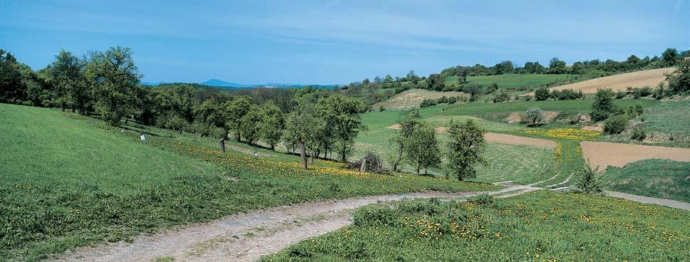 Stfiední âechy park RymáÀ Vyhlá en v roce 994 Okresním úfiadem v Mûlníce na rozloze 596 ha.