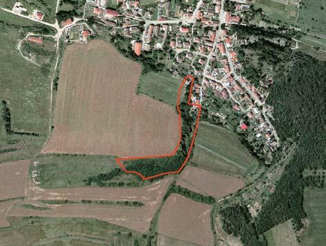 95 SPRA OVÁ