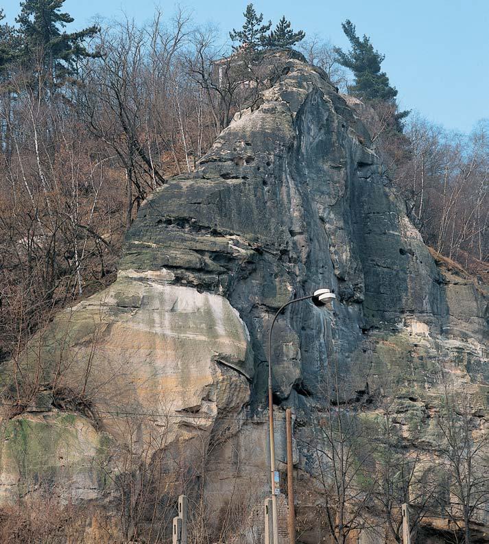 Stfiední âechy GEOLOGIE V razn geomorfologick útvar v podobû tabulové hory se rozkládá mezi Kralupy nad Vltavou a Nelahozevsí. Jde o stratotyp perucko- -korycanského souvrství stanoven âechem et al.