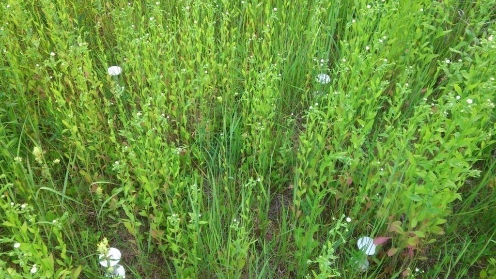 2014. Příloha 14 Mikroklimatické snímače ve