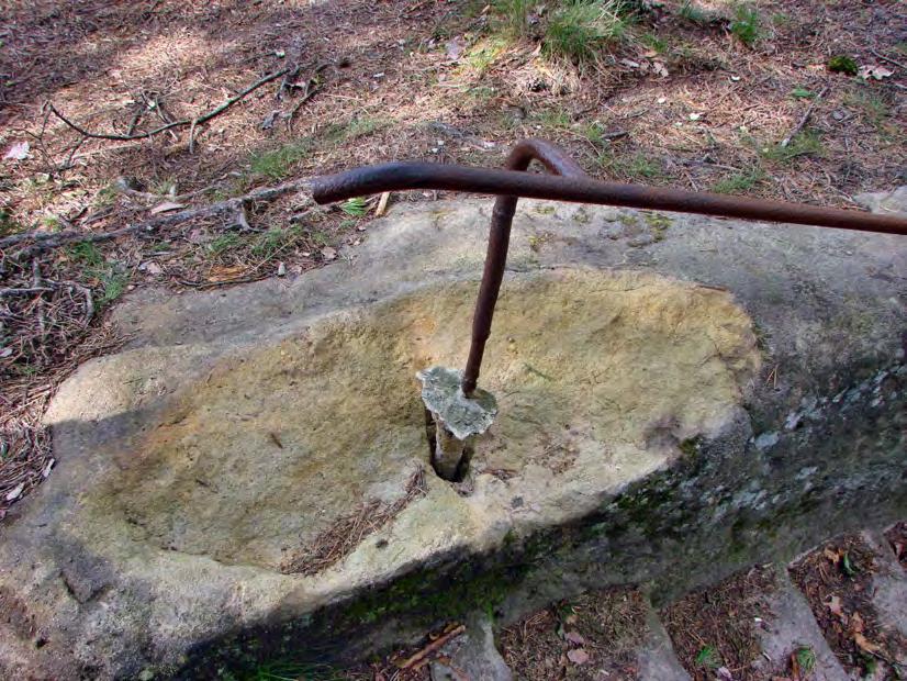 4.2 Použité podklady a zdroje informací Dostupné podklady CHKO Kokořínsko a internet Plán péče o PP Stohánek (Hromek, 2000) LHP pro LHC 585155 VLS ČR, s.p. LS Hamr - s platností 1.1.2001-31.12.