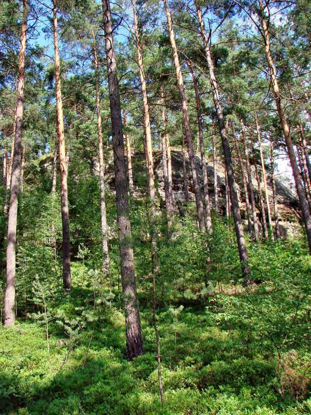 4.4 Plán péče zpracov