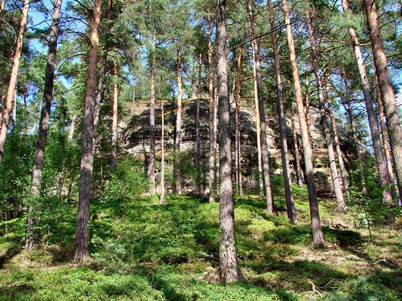 1.7.2.3 Útvary neživé přírody Útvar Geologická charakteristika Popis útvaru Stohánek Skalní útvar ve svrchnokřídových kvádrových pískovcích středního turonu.